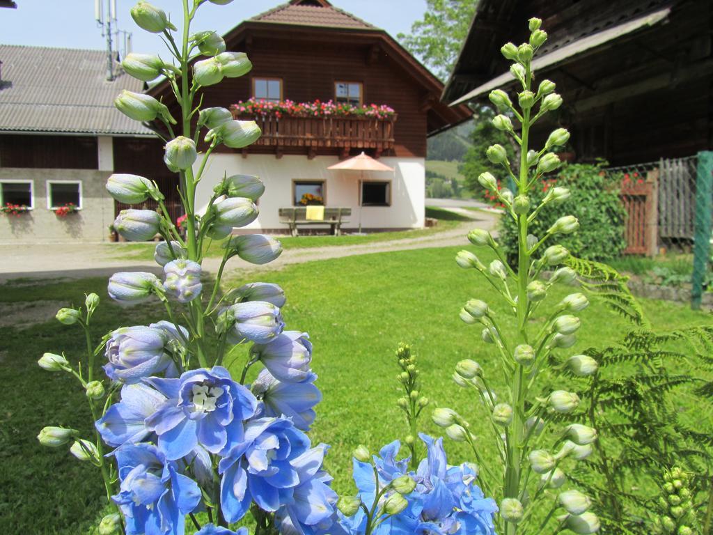Der Hoferbauer Apartment Bad Kleinkirchheim Luaran gambar