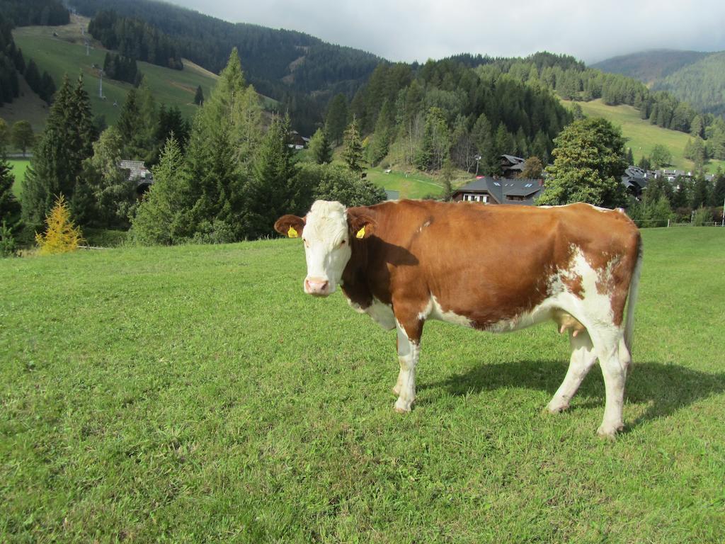 Der Hoferbauer Apartment Bad Kleinkirchheim Luaran gambar