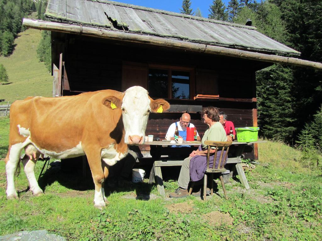 Der Hoferbauer Apartment Bad Kleinkirchheim Luaran gambar